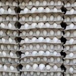 Stock image of eggs